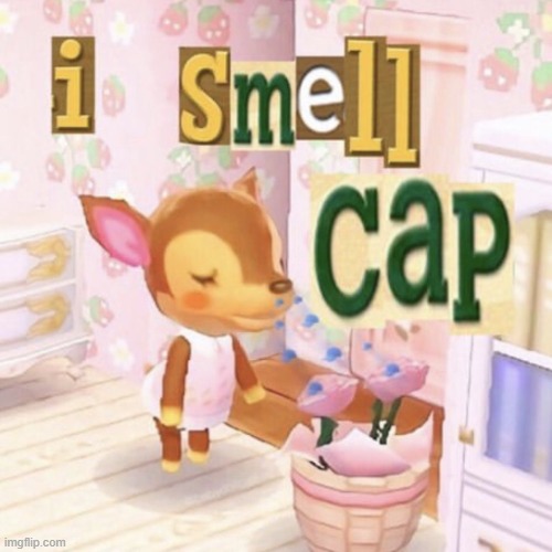 I smell cap | image tagged in i smell cap | made w/ Imgflip meme maker