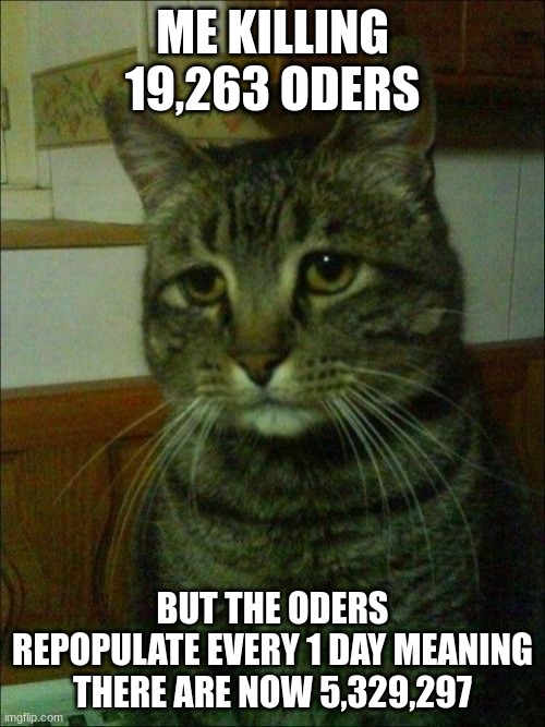 oh no oders |  ME KILLING 19,263 ODERS; BUT THE ODERS REPOPULATE EVERY 1 DAY MEANING THERE ARE NOW 5,329,297 | image tagged in memes,depressed cat | made w/ Imgflip meme maker