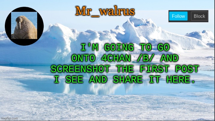 Mr_walrus | I'M GOING TO GO ONTO 4CHAN /B/ AND SCREENSHOT THE FIRST POST I SEE AND SHARE IT HERE. | image tagged in mr_walrus | made w/ Imgflip meme maker