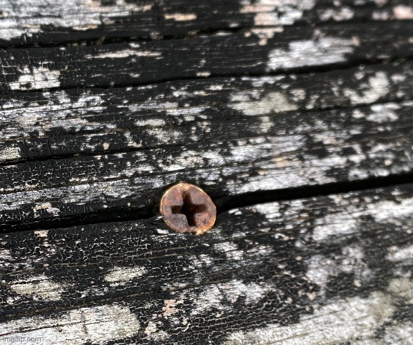 Rusty screw in wooden planks on a dock (inspired by Iceu’s image) | image tagged in iceu,rusty screw,wood | made w/ Imgflip meme maker