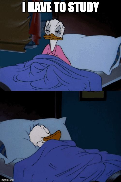 Sleeping Donald Duck | I HAVE TO STUDY | image tagged in sleeping donald duck | made w/ Imgflip meme maker