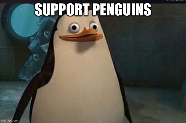 Madagascar penguin | SUPPORT PENGUINS | image tagged in madagascar penguin | made w/ Imgflip meme maker