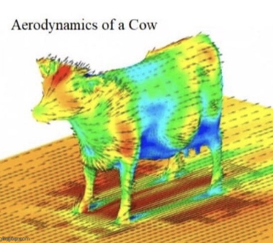 Aerodynamics of a cow | image tagged in aerodynamics of a cow | made w/ Imgflip meme maker