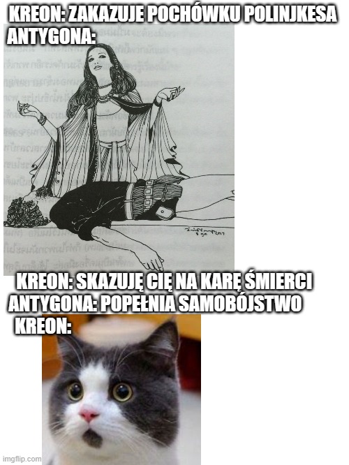 KREON: ZAKAZUJE POCHÓWKU POLINJKESA 
ANTYGONA:; KREON: SKAZUJĘ CIĘ NA KARĘ ŚMIERCI    
ANTYGONA: POPEŁNIA SAMOBÓJSTWO         
KREON: | made w/ Imgflip meme maker