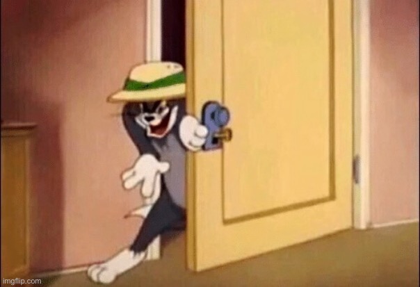 Tom and Jerry | image tagged in tom and jerry | made w/ Imgflip meme maker