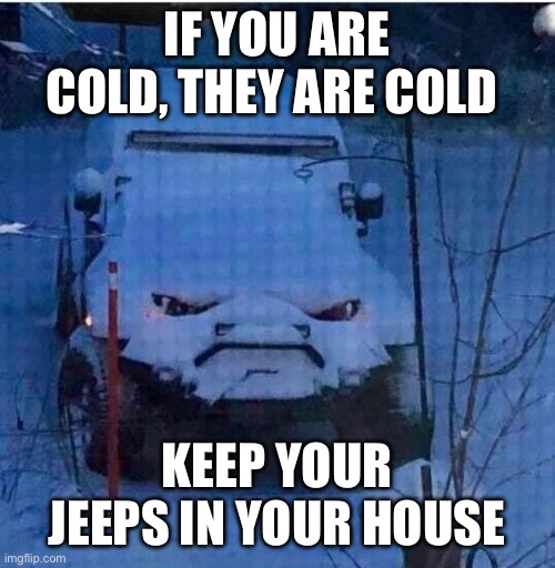 IF YOU ARE COLD, THEY ARE COLD; KEEP YOUR JEEPS IN YOUR HOUSE | image tagged in cold weather | made w/ Imgflip meme maker