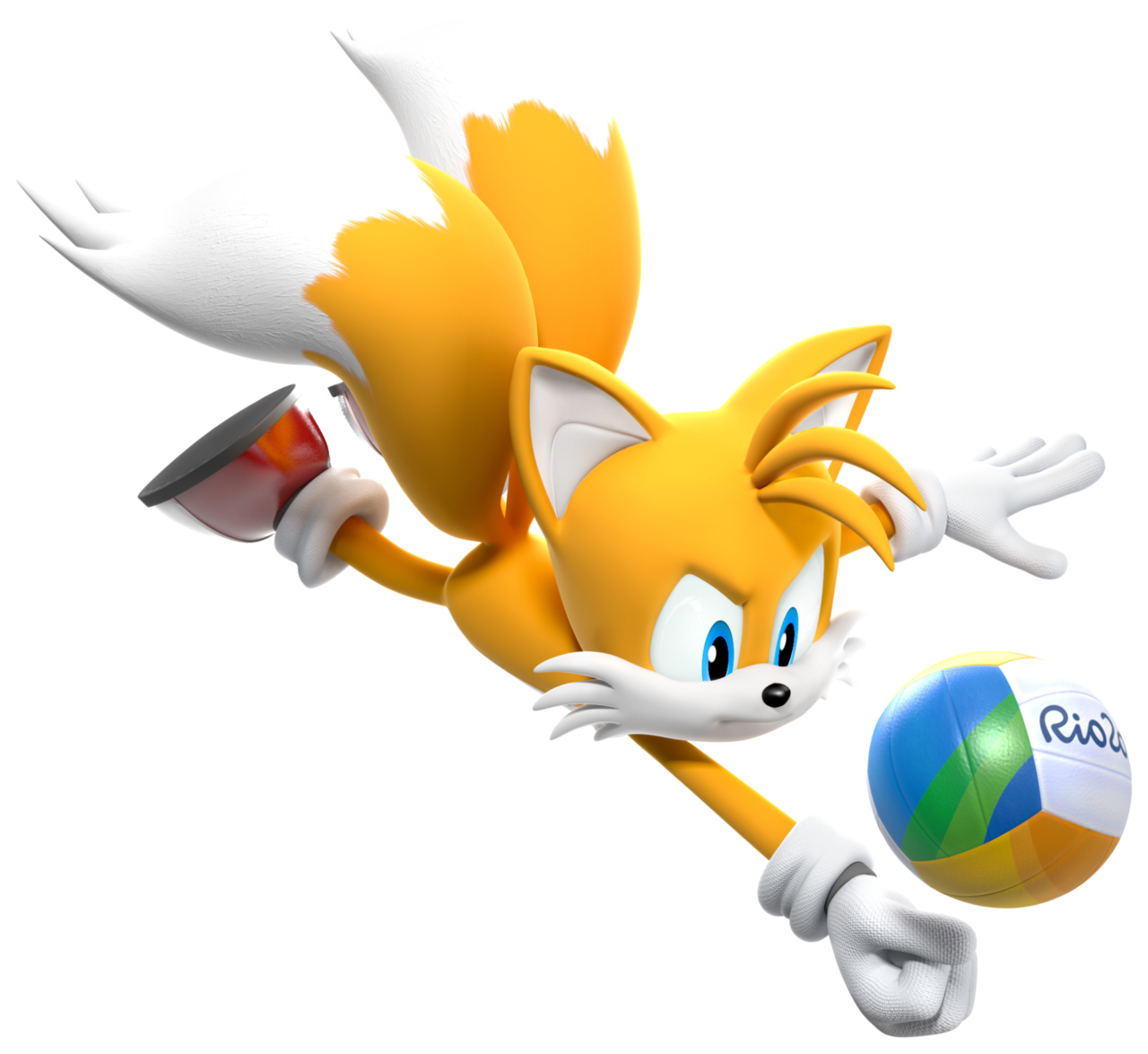 Tails Volleyball Blank Meme Template