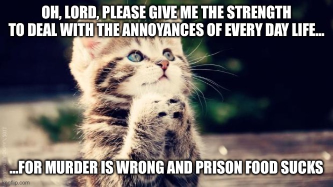 Praying cat | OH, LORD, PLEASE GIVE ME THE STRENGTH TO DEAL WITH THE ANNOYANCES OF EVERY DAY LIFE…; …FOR MURDER IS WRONG AND PRISON FOOD SUCKS | image tagged in praying cat | made w/ Imgflip meme maker