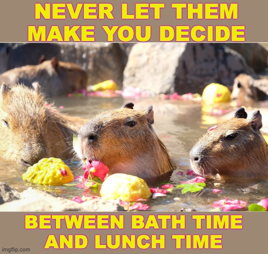 Cappy New Year! | NEVER LET THEM MAKE YOU DECIDE; BETWEEN BATH TIME
AND LUNCH TIME | image tagged in rodents,cute,capybara,food,bath,hot tub | made w/ Imgflip meme maker