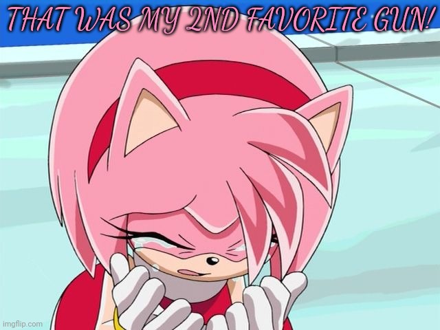 Amy Rose | THAT WAS MY 2ND FAVORITE GUN! | image tagged in amy rose | made w/ Imgflip meme maker