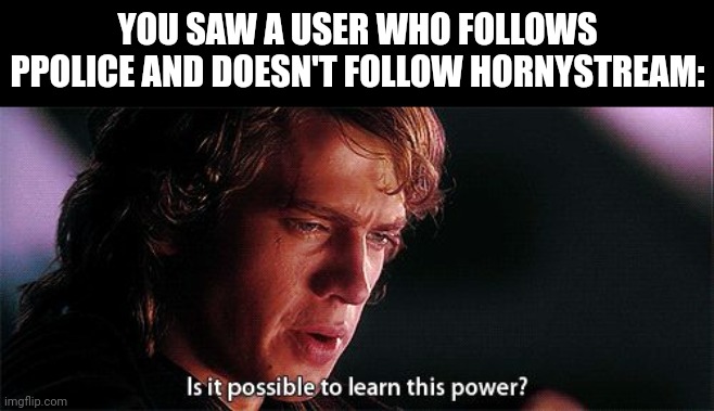 If yknow, yknow | YOU SAW A USER WHO FOLLOWS PPOLICE AND DOESN'T FOLLOW HORNYSTREAM: | image tagged in is it possible to learn this power | made w/ Imgflip meme maker