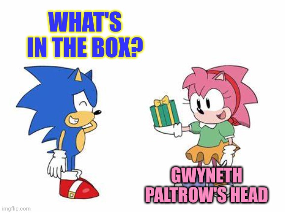 But why? Why would you do that? | WHAT'S IN THE BOX? GWYNETH PALTROW'S HEAD | image tagged in sonic giving amy a present,sonic,amy rose,seven | made w/ Imgflip meme maker