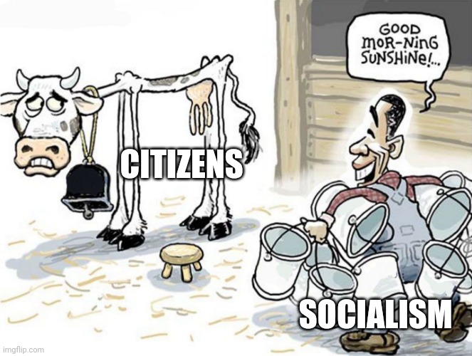 milking the cow | CITIZENS; SOCIALISM | image tagged in milking the cow | made w/ Imgflip meme maker