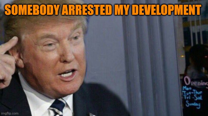 Trump Roll Safe | SOMEBODY ARRESTED MY DEVELOPMENT | image tagged in trump roll safe | made w/ Imgflip meme maker