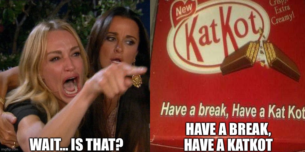 Have a break, have a katkot | WAIT… IS THAT? HAVE A BREAK, HAVE A KATKOT | made w/ Imgflip meme maker