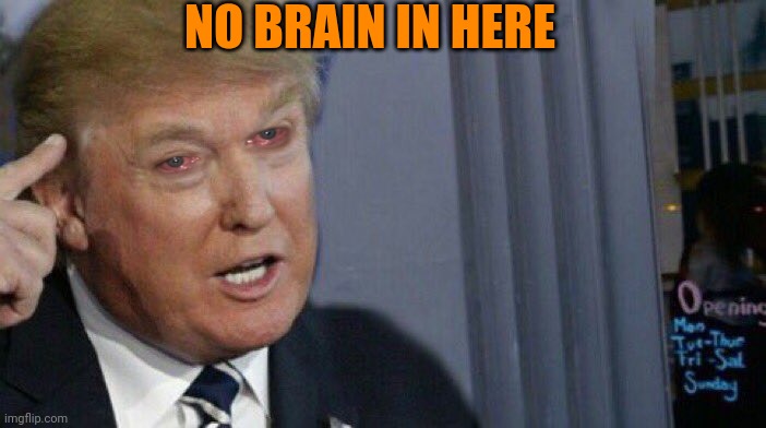 Brainless diaper don | NO BRAIN IN HERE | image tagged in trump roll safe | made w/ Imgflip meme maker