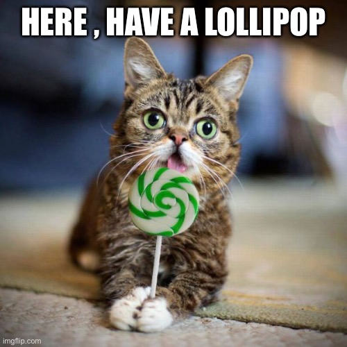 Lollipop  | HERE , HAVE A LOLLIPOP | image tagged in lollipop | made w/ Imgflip meme maker