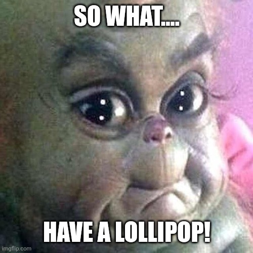 baby grinch | SO WHAT.... HAVE A LOLLIPOP! | image tagged in baby grinch | made w/ Imgflip meme maker