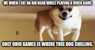 Goofy ah dog | ME WHEN I EAT AN AIR HEAD WHILE PLAYING A VIDEO GAME. ONLY OHIO GAMES IS WHERE THIS DOG CHILLING. | image tagged in helium dog | made w/ Imgflip meme maker