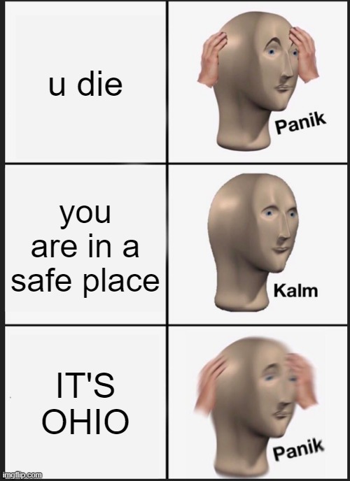 oh no i am in ohio | u die; you are in a safe place; IT'S OHIO | image tagged in memes,panik kalm panik | made w/ Imgflip meme maker