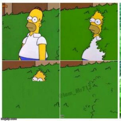 Homer hides | image tagged in homer hides | made w/ Imgflip meme maker