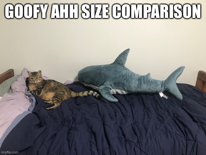 GOOFY AHH SIZE COMPARISON | made w/ Imgflip meme maker