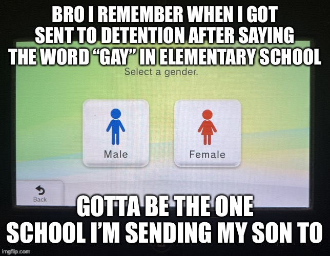 Well, I was prompted not to say the word “gay” since it was a “bad word” but decided to say it again (I didn’t know what it mean | BRO I REMEMBER WHEN I GOT SENT TO DETENTION AFTER SAYING THE WORD “GAY” IN ELEMENTARY SCHOOL; GOTTA BE THE ONE SCHOOL I’M SENDING MY SON TO | image tagged in balls,based,american school | made w/ Imgflip meme maker