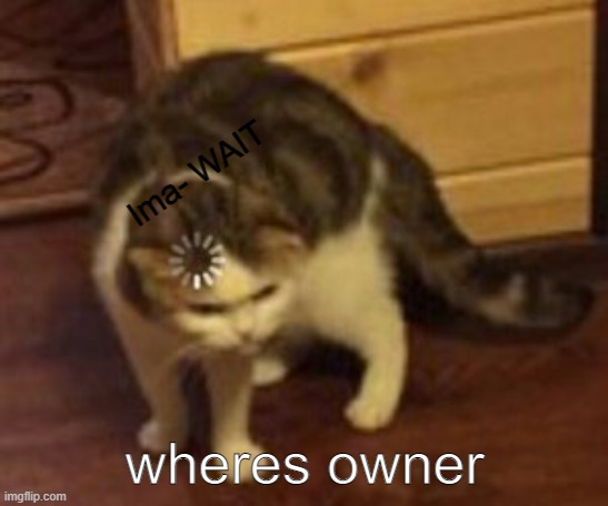 Loading cat | Ima- WAIT wheres owner | image tagged in loading cat | made w/ Imgflip meme maker