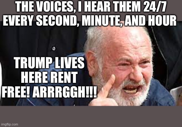 THE VOICES, I HEAR THEM 24/7 EVERY SECOND, MINUTE, AND HOUR; TRUMP LIVES HERE RENT FREE! ARRRGGH!!! | image tagged in donald trump | made w/ Imgflip meme maker