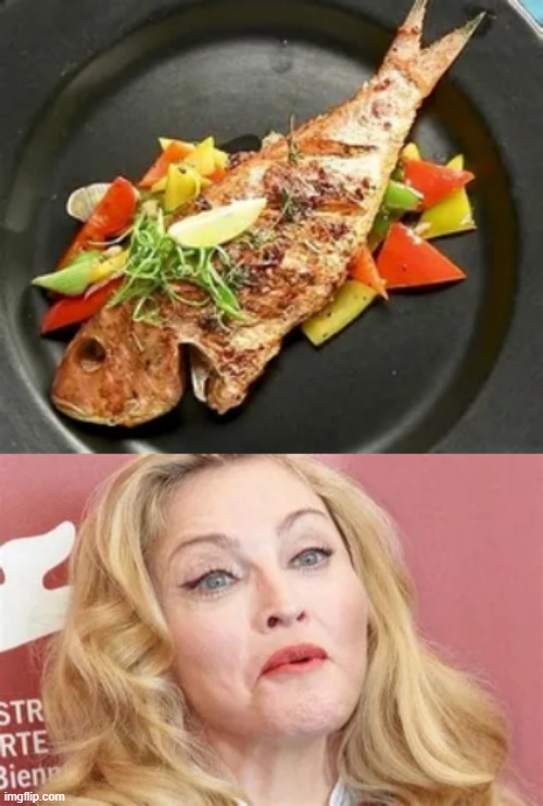image tagged in madonna | made w/ Imgflip meme maker