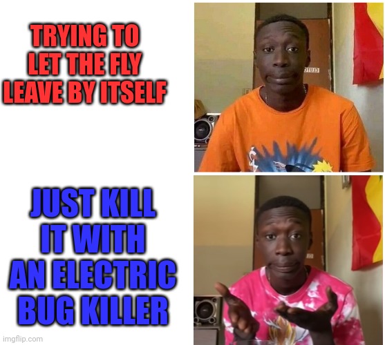 Khaby Lame | TRYING TO LET THE FLY LEAVE BY ITSELF JUST KILL IT WITH AN ELECTRIC BUG KILLER | image tagged in khaby lame | made w/ Imgflip meme maker
