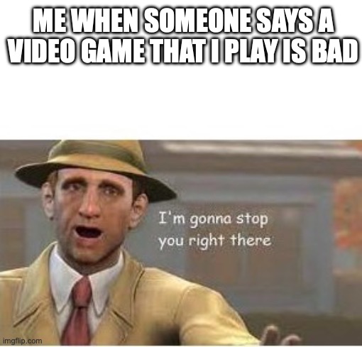 fallout hold up | ME WHEN SOMEONE SAYS A VIDEO GAME THAT I PLAY IS BAD | image tagged in im going to stop you right there,fallout hold up | made w/ Imgflip meme maker