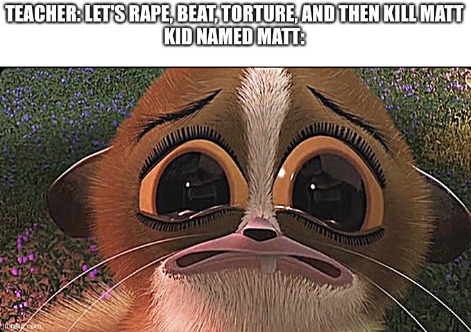 Sad mort | TEACHER: LET'S RAPE, BEAT, TORTURE, AND THEN KILL MATT
KID NAMED MATT: | image tagged in sad mort | made w/ Imgflip meme maker