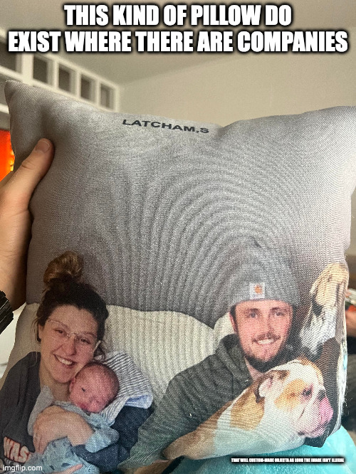 Custom-Made Pillow | THIS KIND OF PILLOW DO EXIST WHERE THERE ARE COMPANIES; THAT WILL CUSTOM-MADE OBJECTA AS LONG THE IMAGE ISN'T ILLEGAL | image tagged in pillow,memes | made w/ Imgflip meme maker