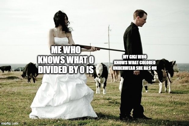 Shotgun Wedding | ME WHO KNOWS WHAT 0 DIVIDED BY 0 IS MY GIGI WHO KNOWS WHAT COLORED UNDERWEAR SHE HAS ON | image tagged in shotgun wedding | made w/ Imgflip meme maker