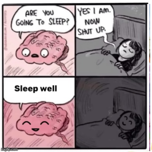 Wholesome Brain that doesn't remind you of cringe things you did years ago | image tagged in memes,are you going to sleep,yes now shut up,wholesome | made w/ Imgflip meme maker