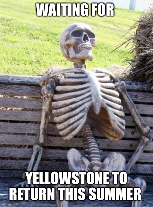 Waiting Skeleton Meme | WAITING FOR; YELLOWSTONE TO RETURN THIS SUMMER | image tagged in memes,waiting skeleton | made w/ Imgflip meme maker
