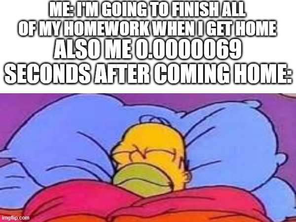 Procrastinate procrastinate procrastinate | ME: I'M GOING TO FINISH ALL OF MY HOMEWORK WHEN I GET HOME; ALSO ME 0.0000069 SECONDS AFTER COMING HOME: | image tagged in homer simpson,memes | made w/ Imgflip meme maker