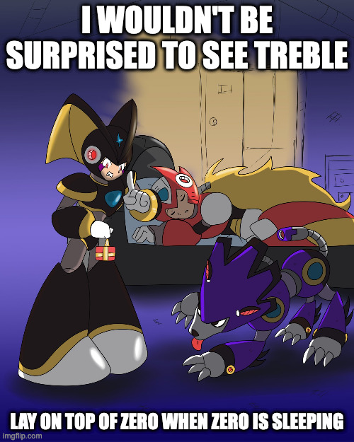 Bass on Christmas Eve | I WOULDN'T BE SURPRISED TO SEE TREBLE; LAY ON TOP OF ZERO WHEN ZERO IS SLEEPING | image tagged in bass,megaman,megaman x,memes,zero,treble | made w/ Imgflip meme maker