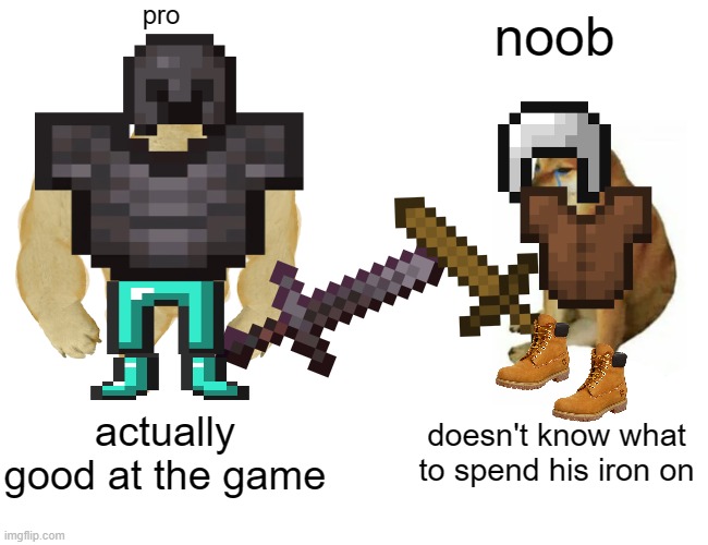 Buff Doge vs. Cheems | pro; noob; actually good at the game; doesn't know what to spend his iron on | image tagged in memes,buff doge vs cheems | made w/ Imgflip meme maker