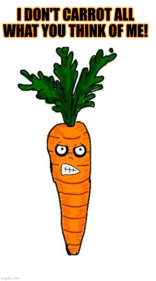 But why? Why would you do that? | I DON'T CARROT ALL WHAT YOU THINK OF ME! | image tagged in carrot,no,this is not okie dokie | made w/ Imgflip meme maker