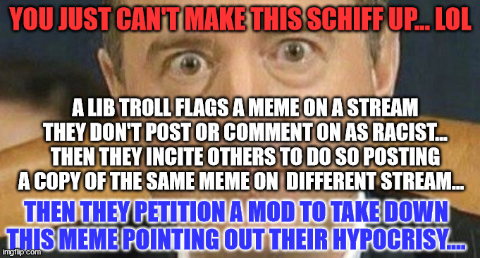 Liberal hypocrisy... you can't meme a phrase but they're allowed... | YOU JUST CAN'T MAKE THIS SCHIFF UP... LOL; A LIB TROLL FLAGS A MEME ON A STREAM THEY DON'T POST OR COMMENT ON AS RACIST... THEN THEY INCITE OTHERS TO DO SO POSTING A COPY OF THE SAME MEME ON  DIFFERENT STREAM... THEN THEY PETITION A MOD TO TAKE DOWN THIS MEME POINTING OUT THEIR HYPOCRISY.... | image tagged in adam schiff weird eyes,liberal,hypocrisy | made w/ Imgflip meme maker