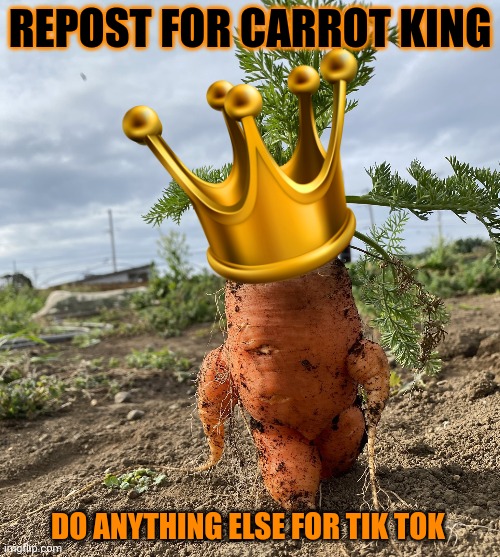 But why? Why would you do that? | REPOST FOR CARROT KING; DO ANYTHING ELSE FOR TIK TOK | image tagged in carrot,king | made w/ Imgflip meme maker