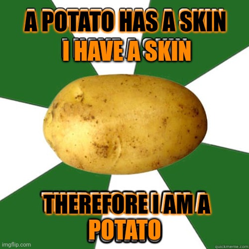 But why? Why would you do that? | I HAVE A SKIN; A POTATO HAS A SKIN; THEREFORE I AM A; POTATO | image tagged in potato,also potato but longer | made w/ Imgflip meme maker