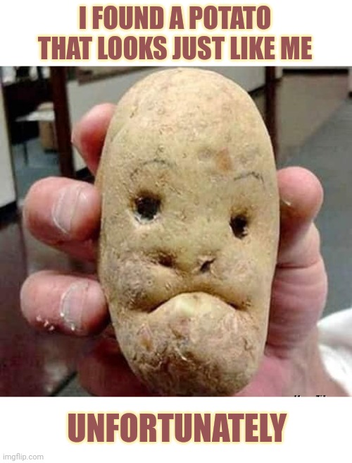 Potatoes | I FOUND A POTATO THAT LOOKS JUST LIKE ME; UNFORTUNATELY | image tagged in potatoes,why | made w/ Imgflip meme maker