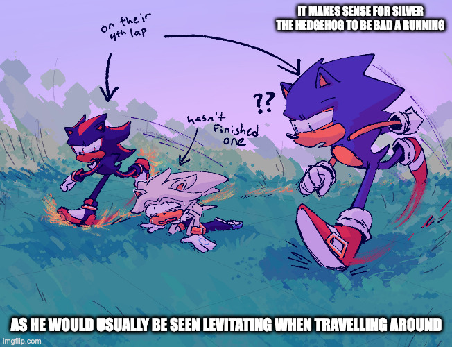 Hedgehog Race | IT MAKES SENSE FOR SILVER THE HEDGEHOG TO BE BAD A RUNNING; AS HE WOULD USUALLY BE SEEN LEVITATING WHEN TRAVELLING AROUND | image tagged in sonic the hedgehog,silver the hedgehog,shadow the hedgehog,memes | made w/ Imgflip meme maker