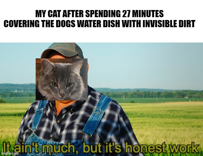 My Cat's Work | MY CAT AFTER SPENDING 27 MINUTES COVERING THE DOGS WATER DISH WITH INVISIBLE DIRT | image tagged in it ain't much but it's honest work | made w/ Imgflip meme maker