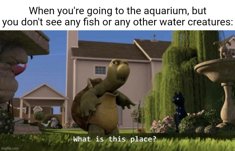 Aquarium | When you're going to the aquarium, but you don't see any fish or any other water creatures: | image tagged in what is this place,memes,meme,aquarium,place,water creatures | made w/ Imgflip meme maker