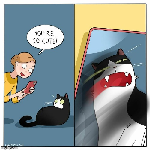 A Cat's Way Of Thinking | image tagged in memes,comics,cats,picture,so cute,oh i don't think so | made w/ Imgflip meme maker