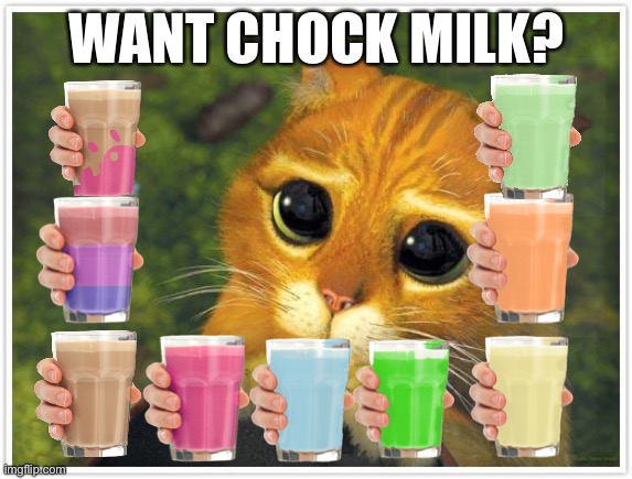 Shrek Cat | WANT CHOCK MILK? | image tagged in memes,shrek cat | made w/ Imgflip meme maker